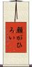 顔がひろい Scroll