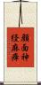 顔面神経麻痺 Scroll