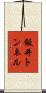 飯井トンネル Scroll