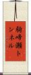 駒啼瀬トンネル Scroll