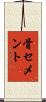 骨セメント Scroll