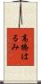 高橋はるみ Scroll