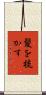 髪を梳かす Scroll