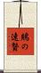 鵙の速贄 Scroll