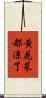 黃花菜都涼了 Scroll