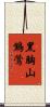 黑胸山鷦鶯 Scroll
