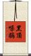 黑頂噪鶥 Scroll