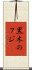 黒木のフジ Scroll