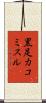 黒足カコミスル Scroll
