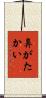 鼻がたかい Scroll