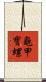 龜甲寶螺 Scroll