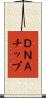 ＤＮＡチップ Scroll