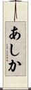 あしか Scroll
