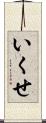 いくせ Scroll