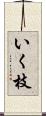 いく枝 Scroll