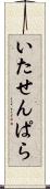 いたせんぱら Scroll