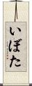 いぼた Scroll