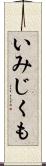 いみじくも Scroll