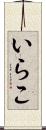 いらこ Scroll