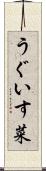 うぐいす菜 Scroll