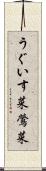うぐいす菜 Scroll