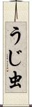 うじ虫 Scroll