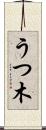 うつ木 Scroll