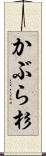 かぶら杉 Scroll