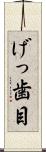げっ歯目 Scroll