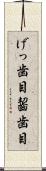 げっ歯目 Scroll