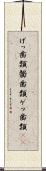 げっ歯類 Scroll