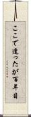 ここで逢ったが百年目 Scroll
