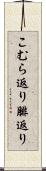 こむら返り Scroll
