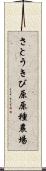 さとうきび原原種農場 Scroll