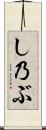 し乃ぶ Scroll
