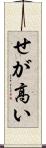 せが高い Scroll