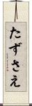 たずさえ Scroll