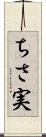 ちさ実 Scroll