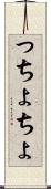 っちょ Scroll