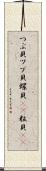 つぶ貝 Scroll