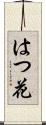 はつ花 Scroll