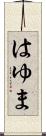 はゆま Scroll
