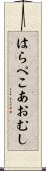 はらぺこあおむし Scroll