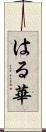 はる華 Scroll