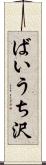 ばいうち沢 Scroll