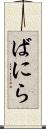 ばにら Scroll
