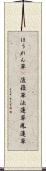 ほうれん草(P) Scroll