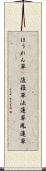 ほうれん草(P);菠薐草;法蓮草;鳳蓮草 Scroll