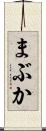 まぶか Scroll