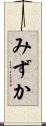 みずか Scroll